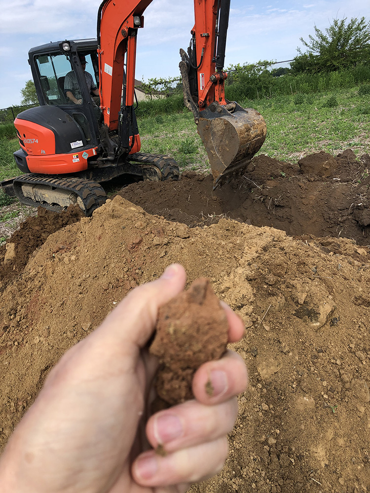 jeffrey hammes soil testing